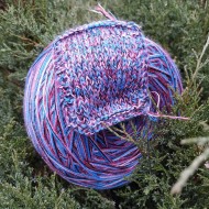 Медуница Медуница